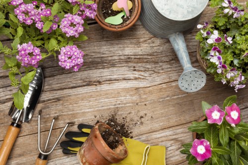 Clean driveway with professional cleaning equipment