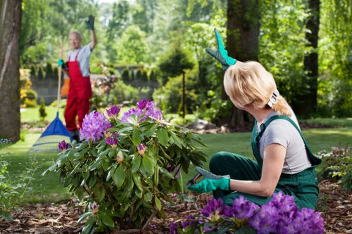 Professional lawn mowing service in Cleaners E9