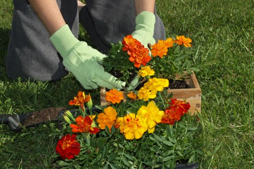 Professional equipment used for driveway cleaning